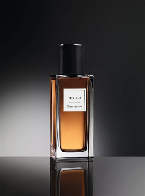 ysl taxido|Tuxedo Yves Saint Laurent for women and men .